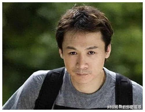 高虎电视剧大全,演绎人生百态，展现演技魅力